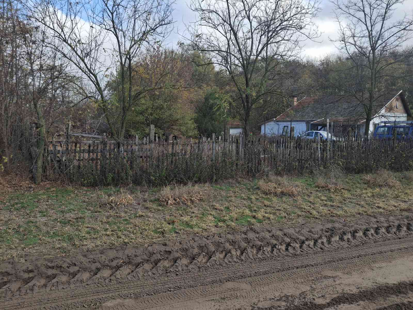 Ásotthalom külterületén Kissoron tanya eladó! – 2. fotó