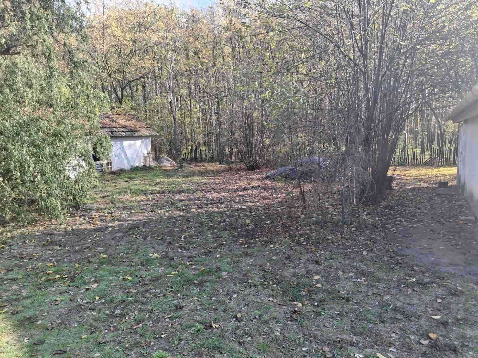 Ásotthalom külterületén Kissoron tanya eladó! – 6. fotó