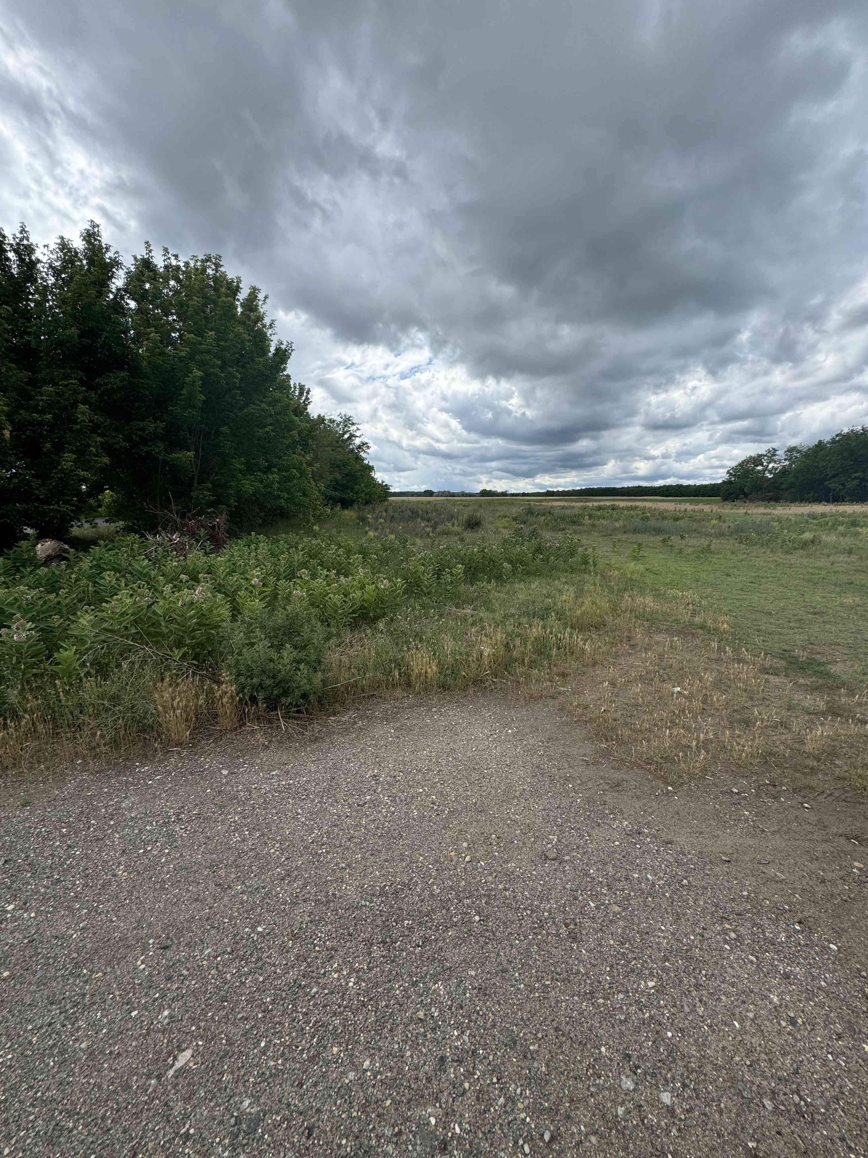 Mórahalmi föld  – 2. fotó