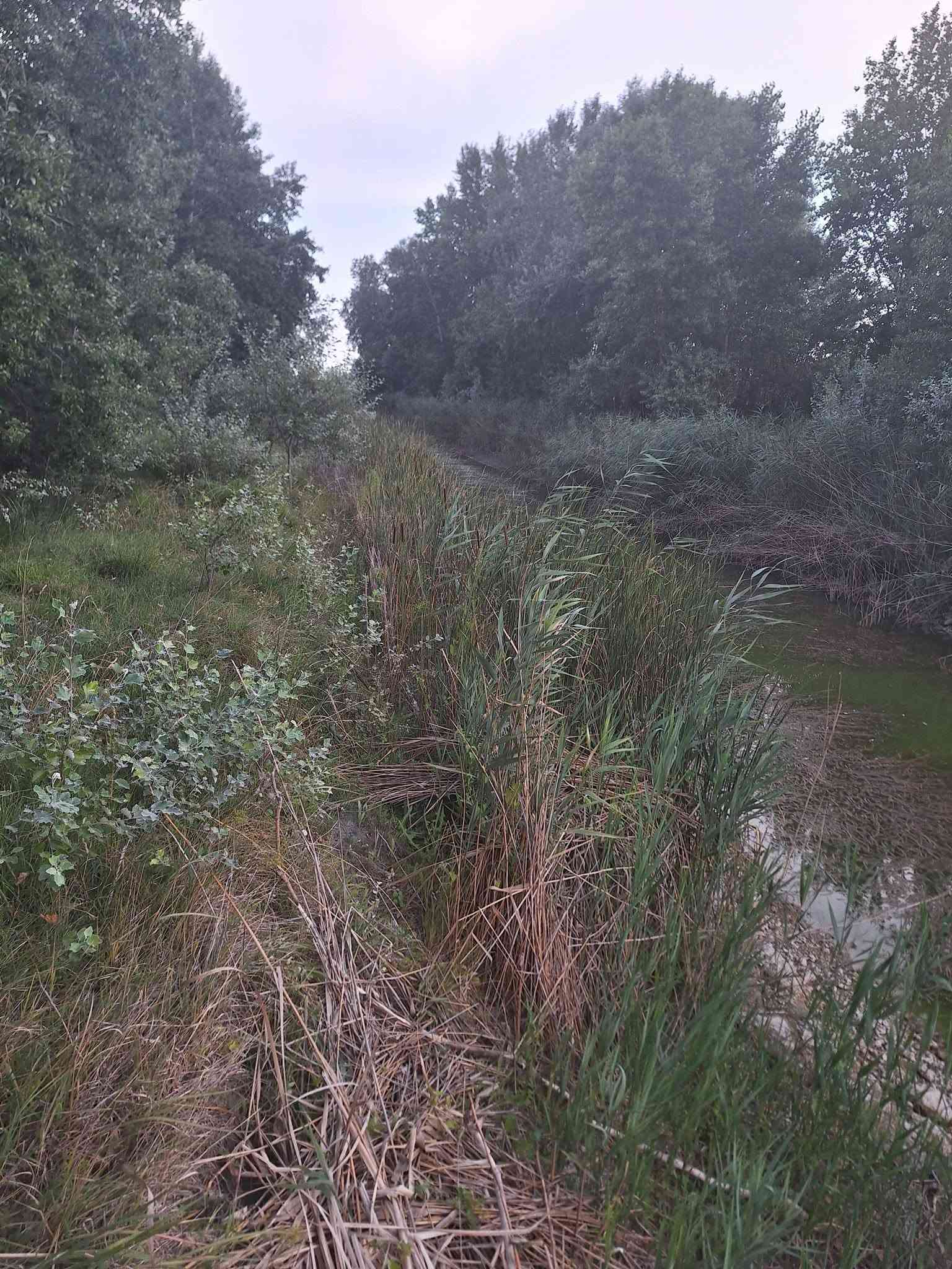 Eladó rét és öntözőgödör – 3. fotó