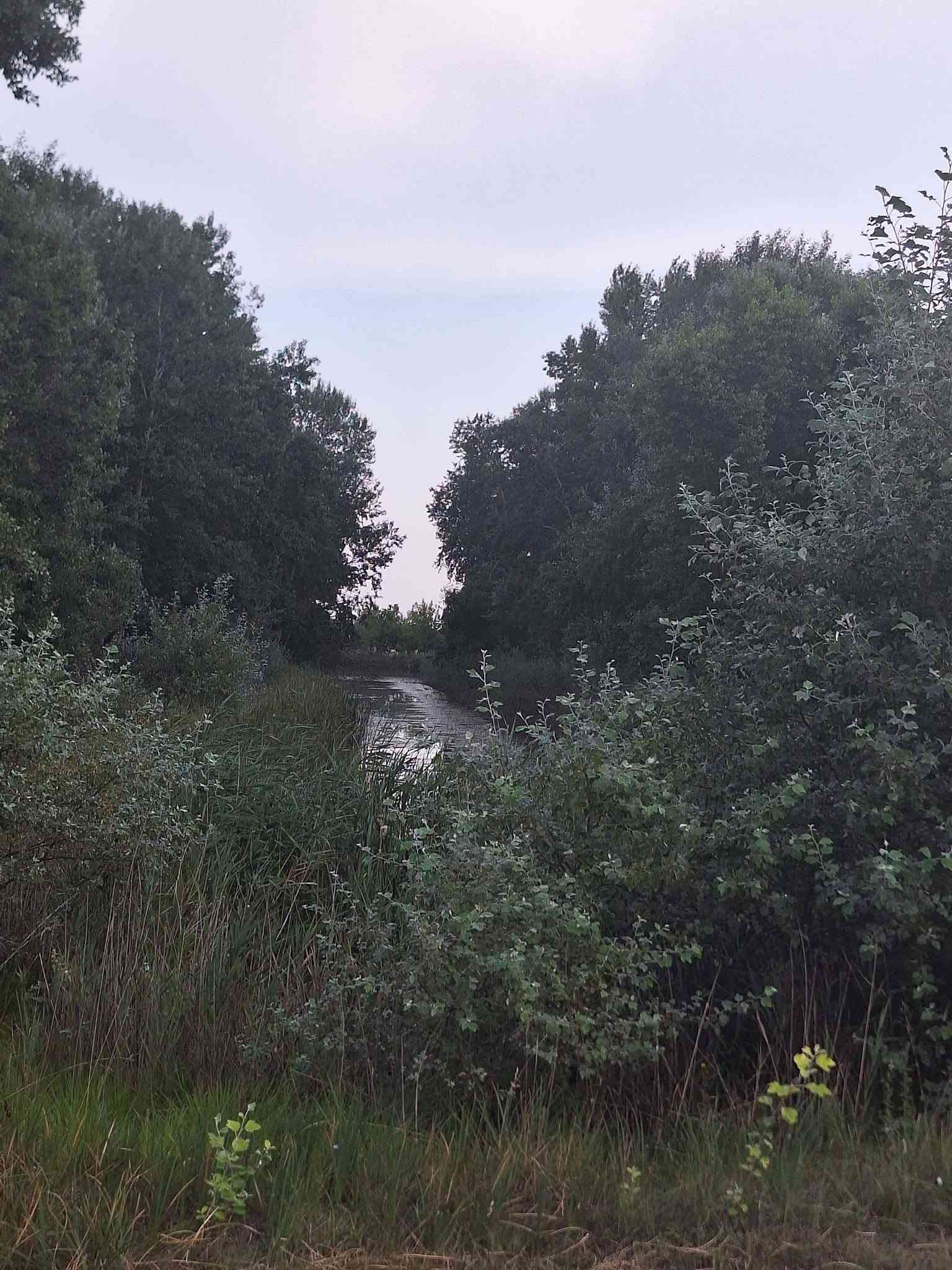 Eladó rét és öntözőgödör – 4. fotó