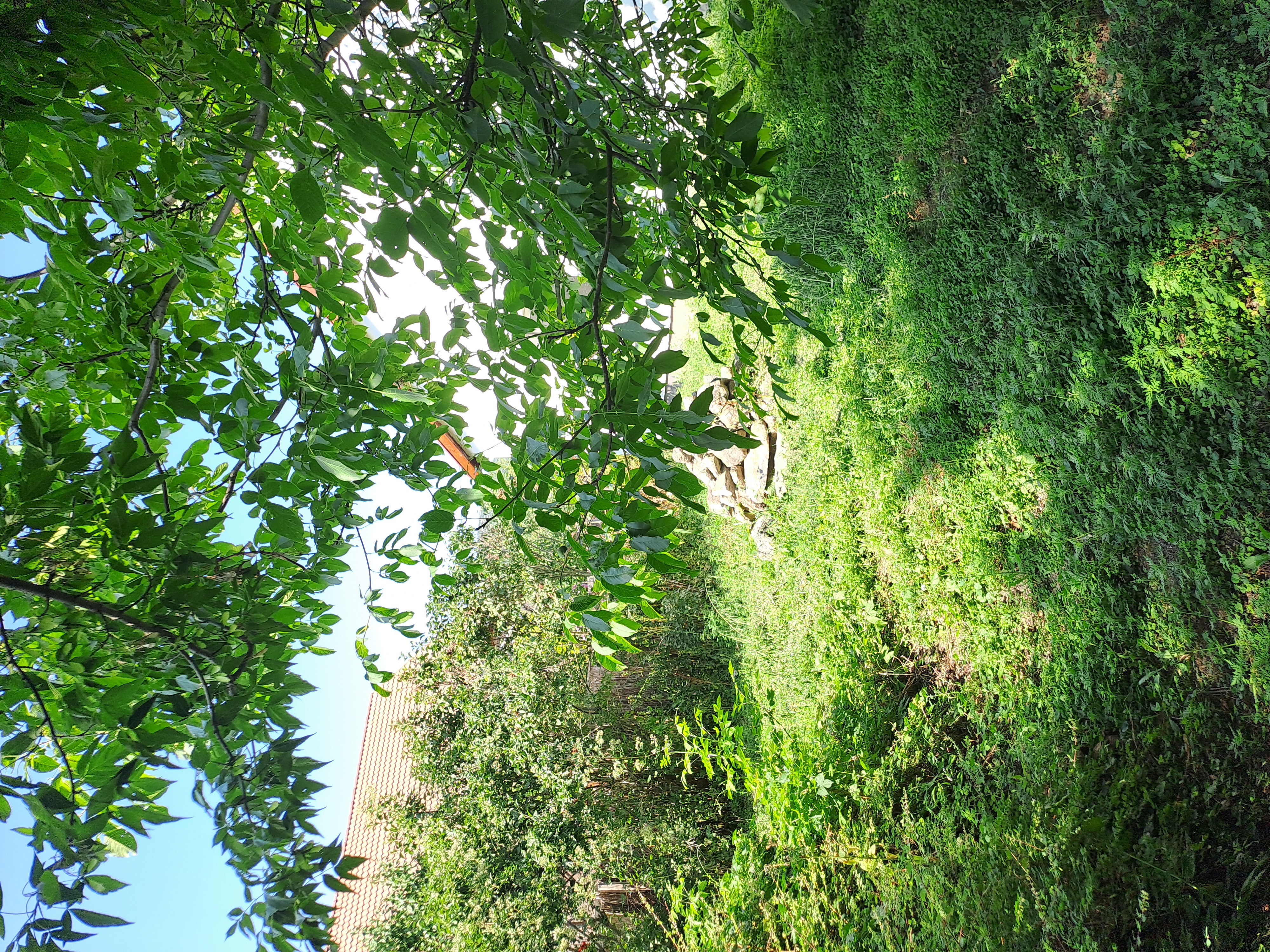 Ecseg Széchenyi út 42 – 17. fotó