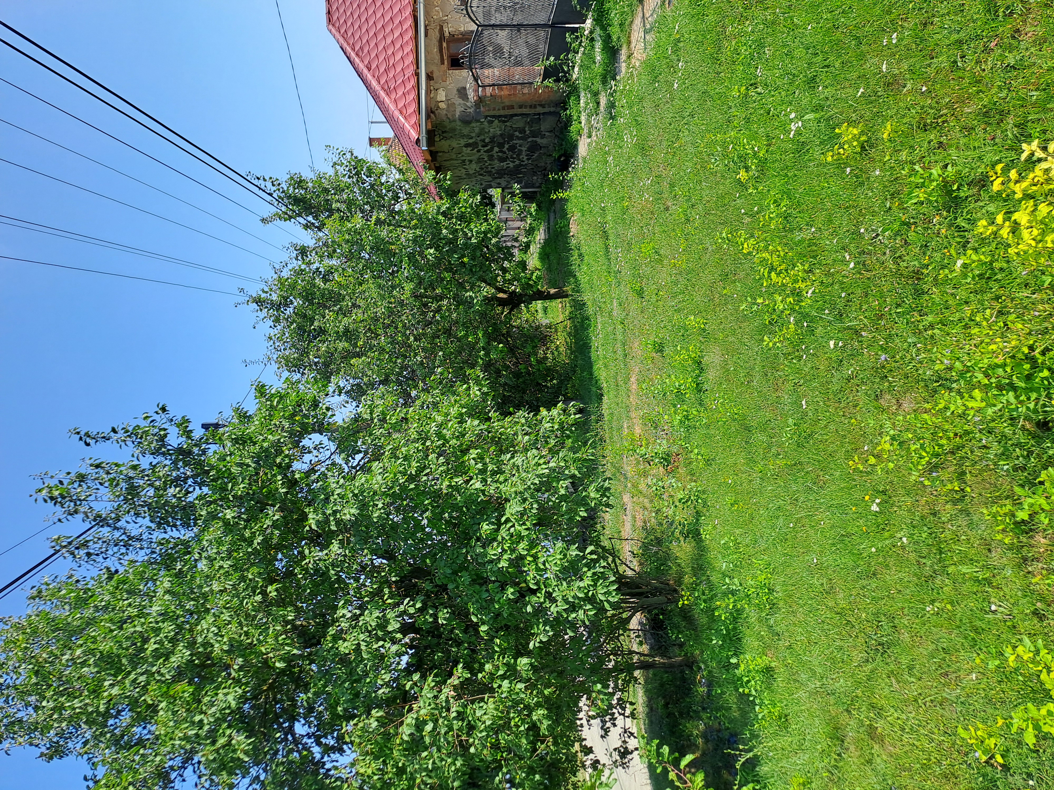 Ecseg Széchenyi út 42 – 19. fotó