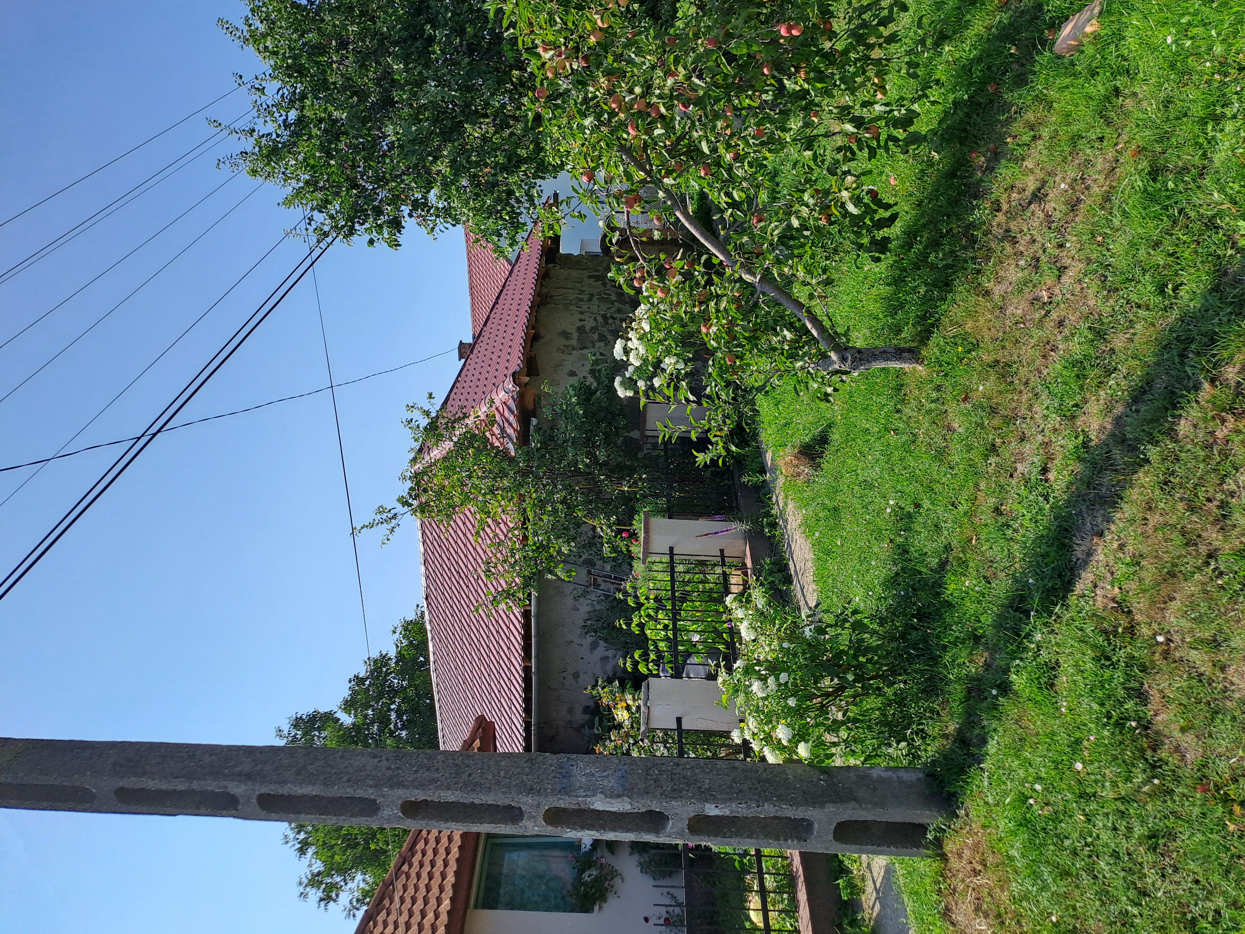 Ecseg Széchenyi út 42 – 20. fotó