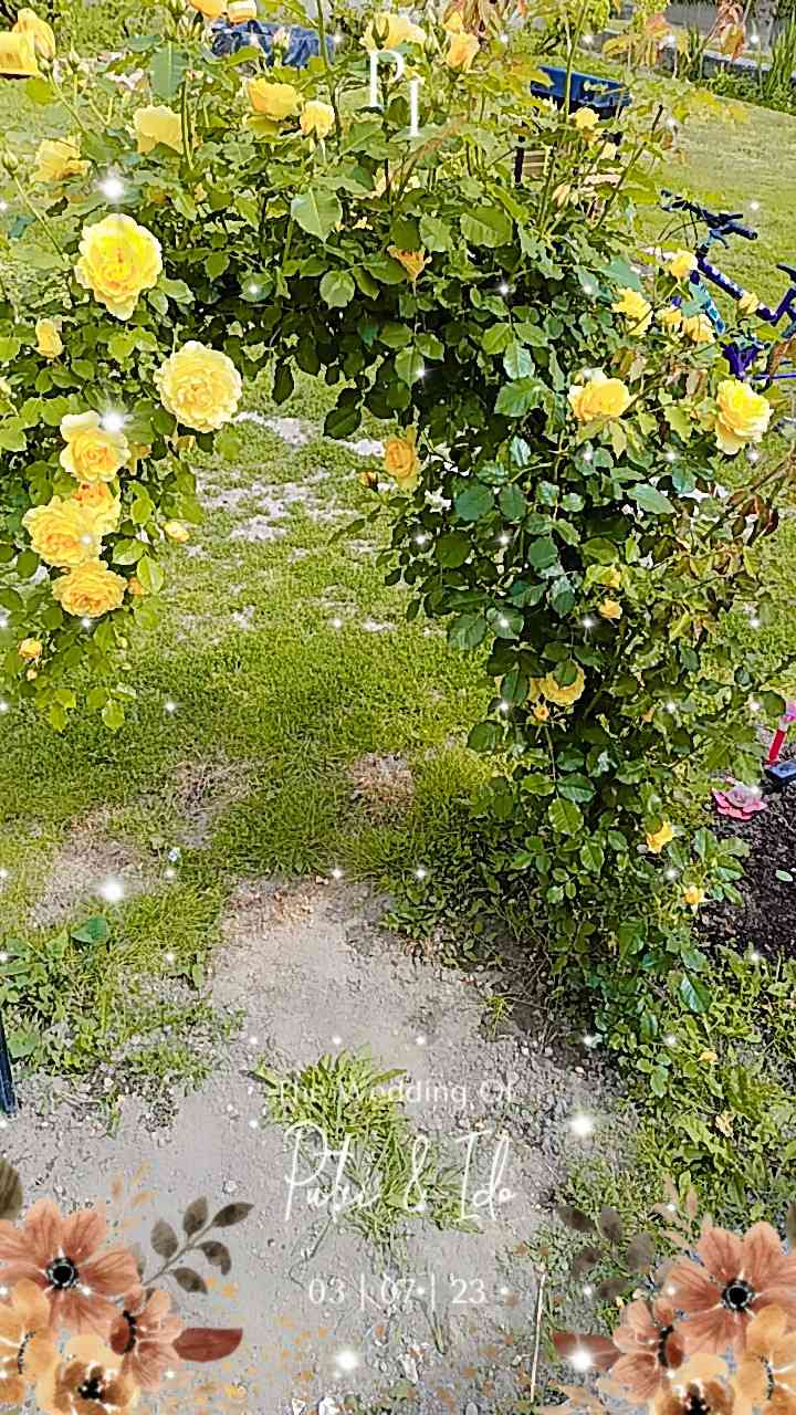 Sürgősen Eladó családiház  – 17. fotó