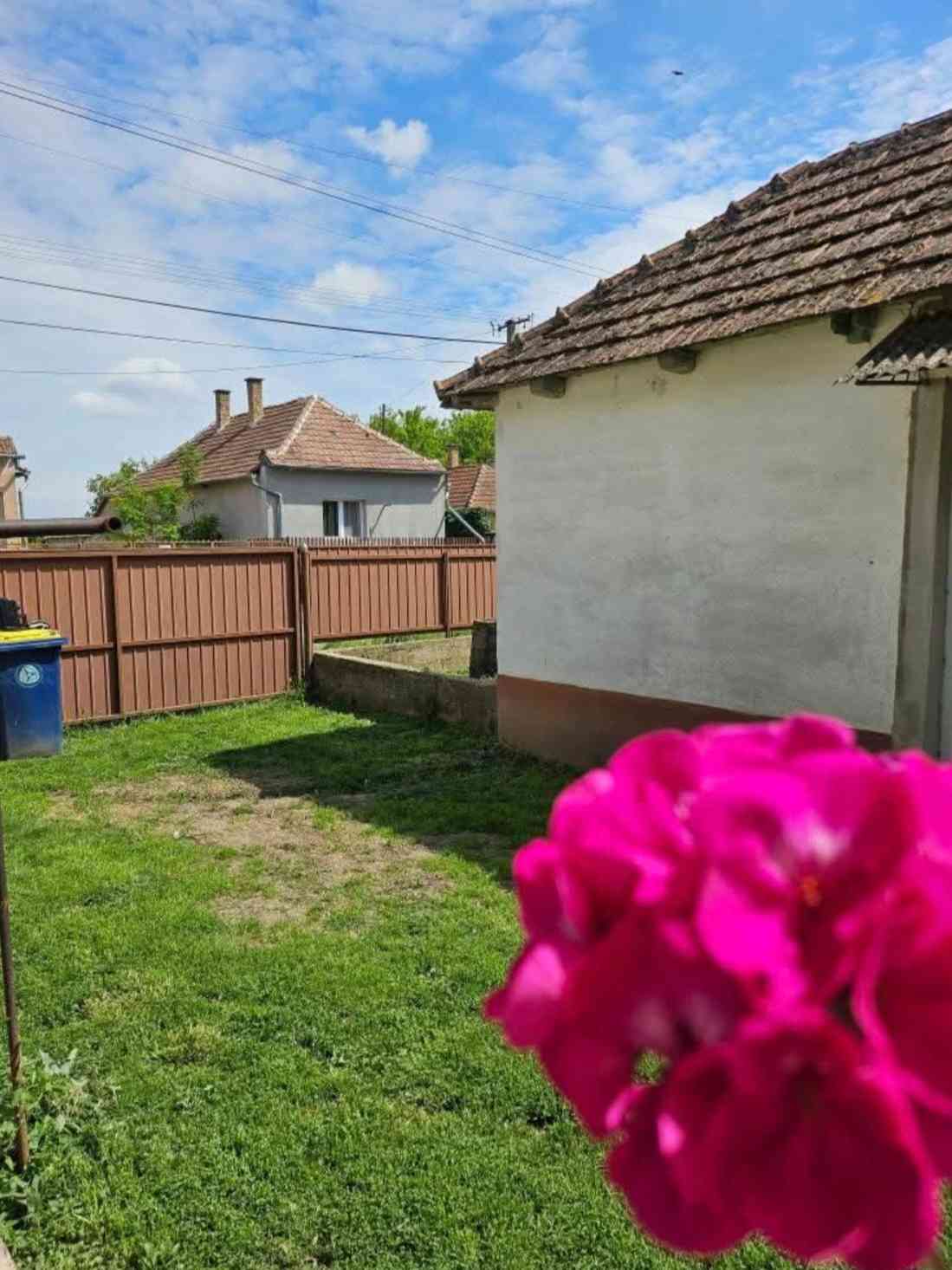 Eladó Családi ház Tiszanagyfaluban – 7. fotó