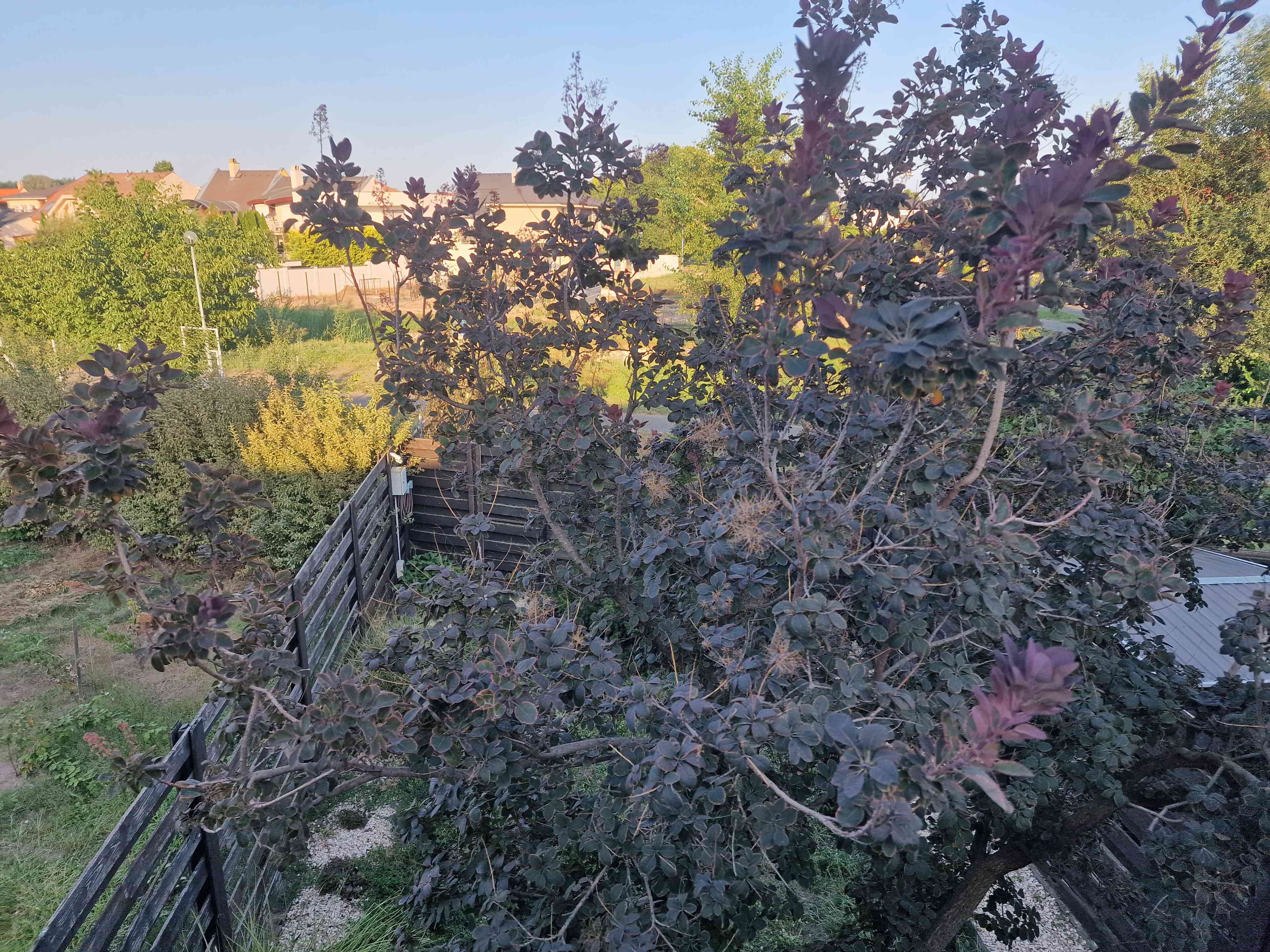Debrecen, Liget Lakópark  sorház  4 szoba / 120 m² – 5. fotó