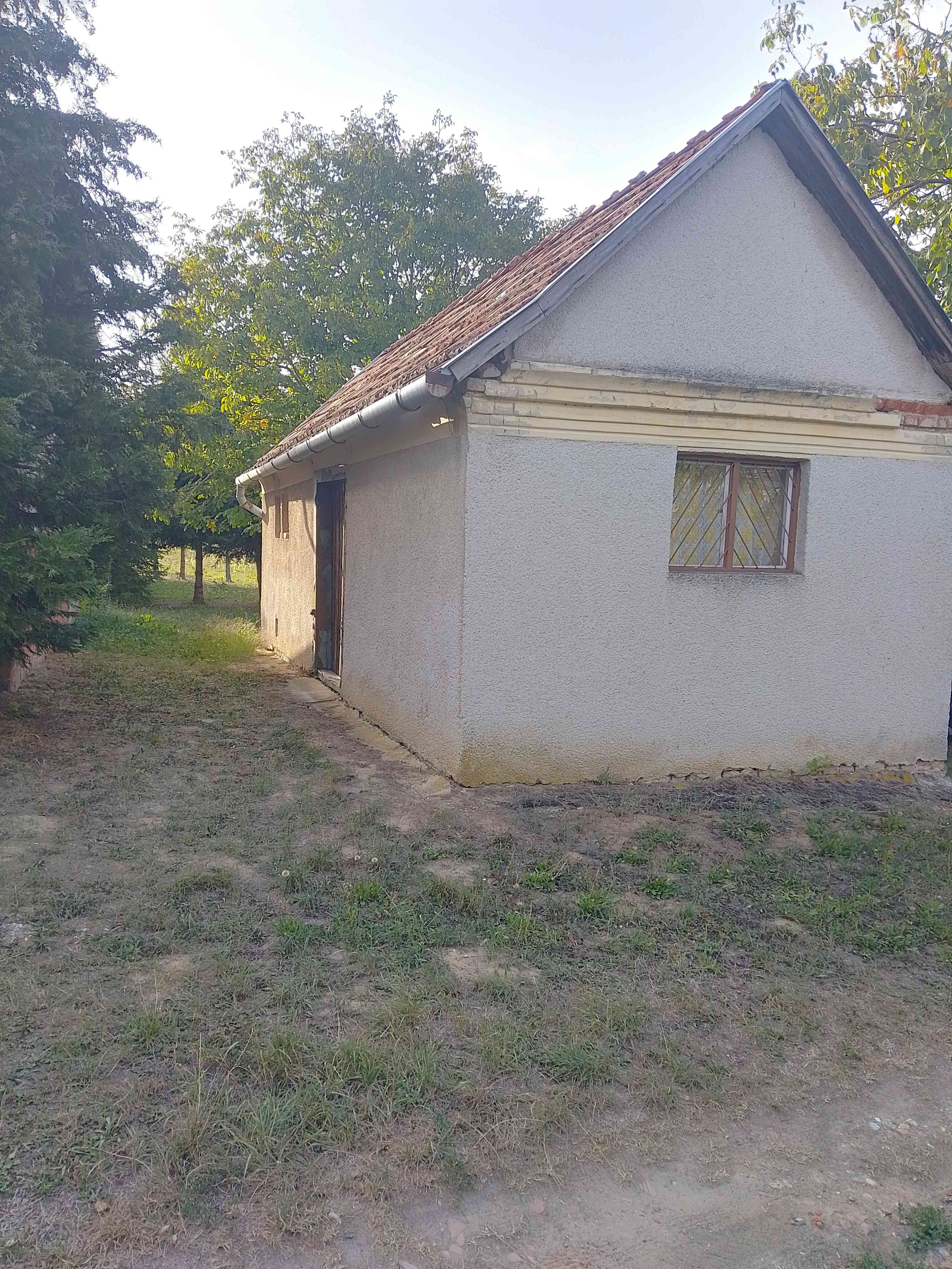Belezna Nagydombi hegy  – 3. fotó