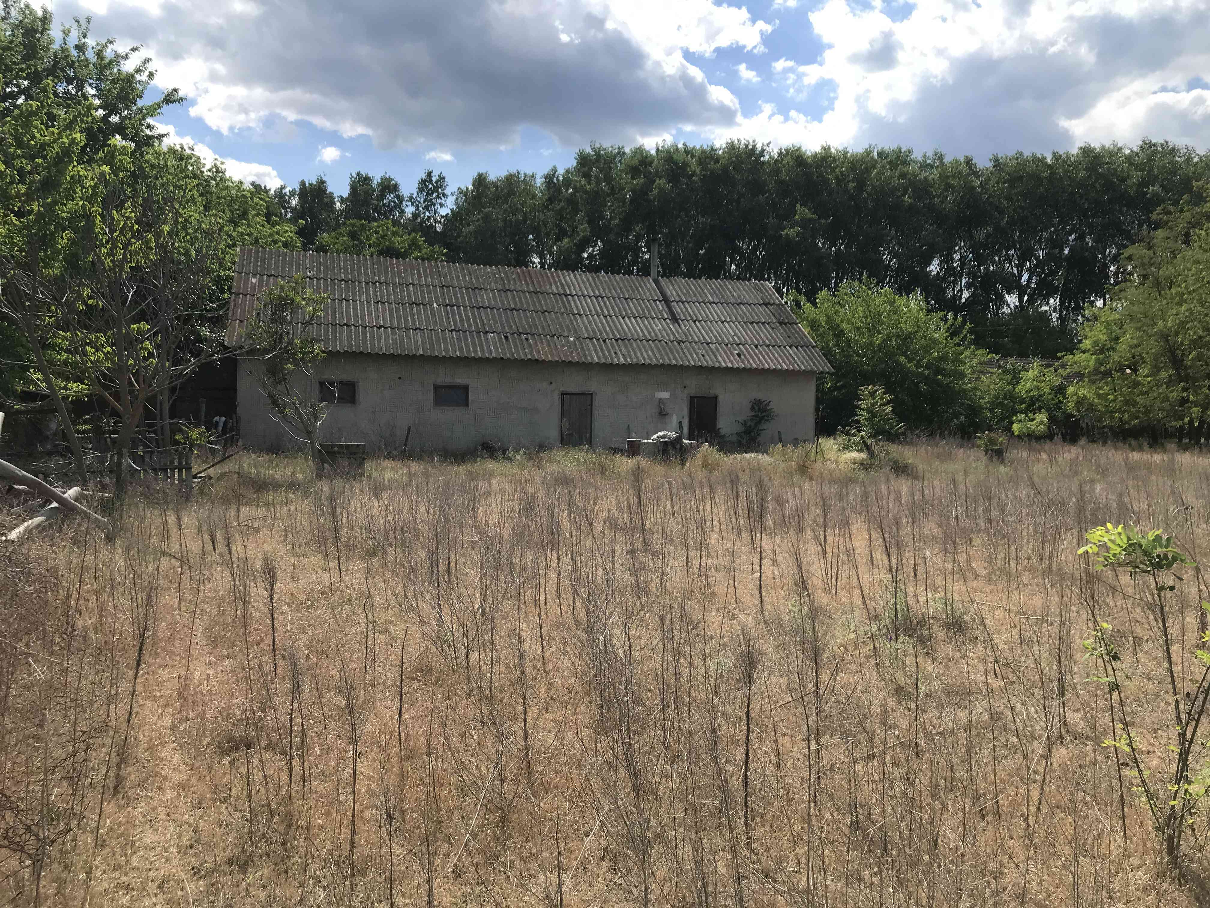 Mórahalmi Tanya – 2. fotó
