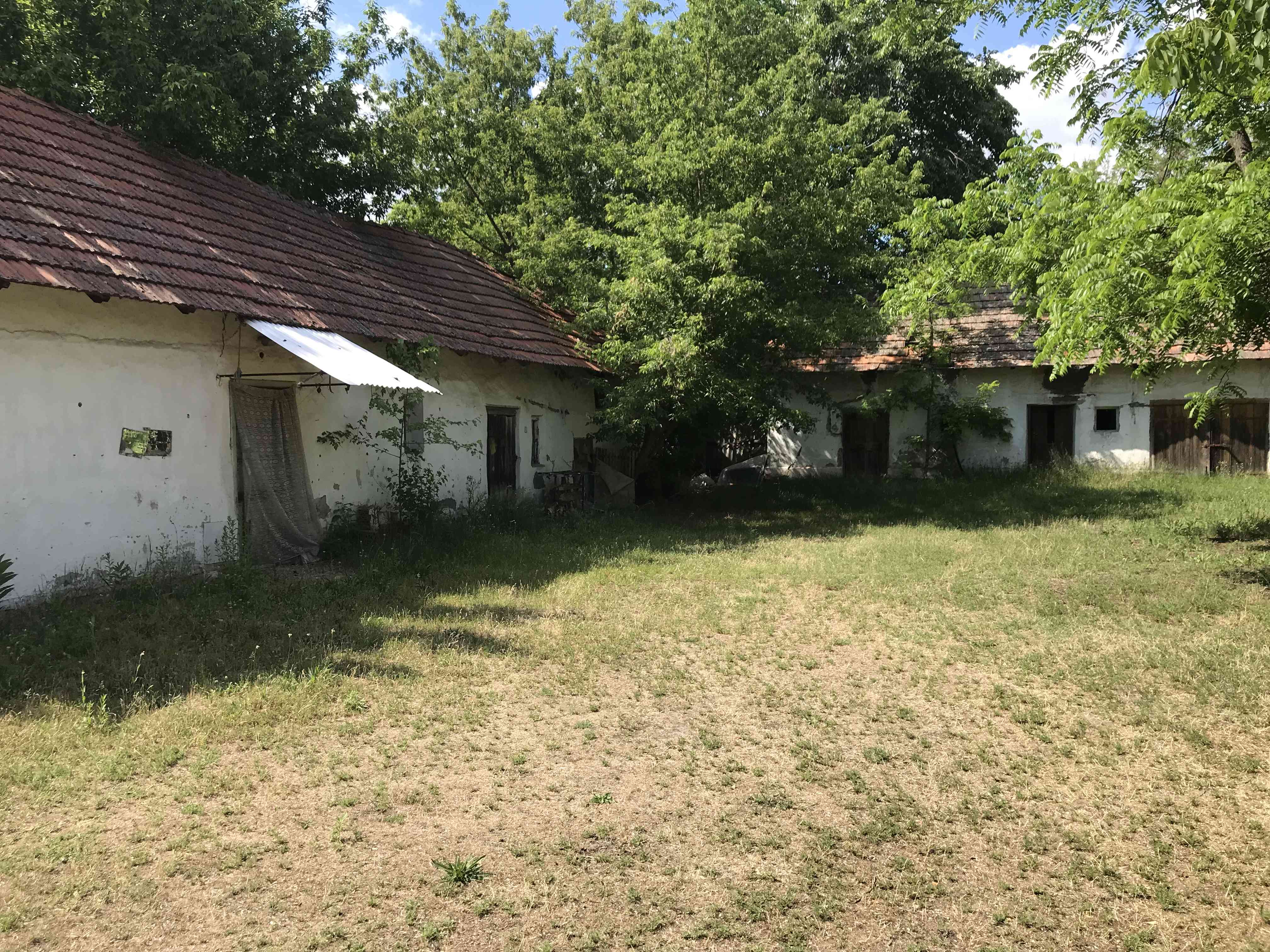 Mórahalmi Tanya – 4. fotó