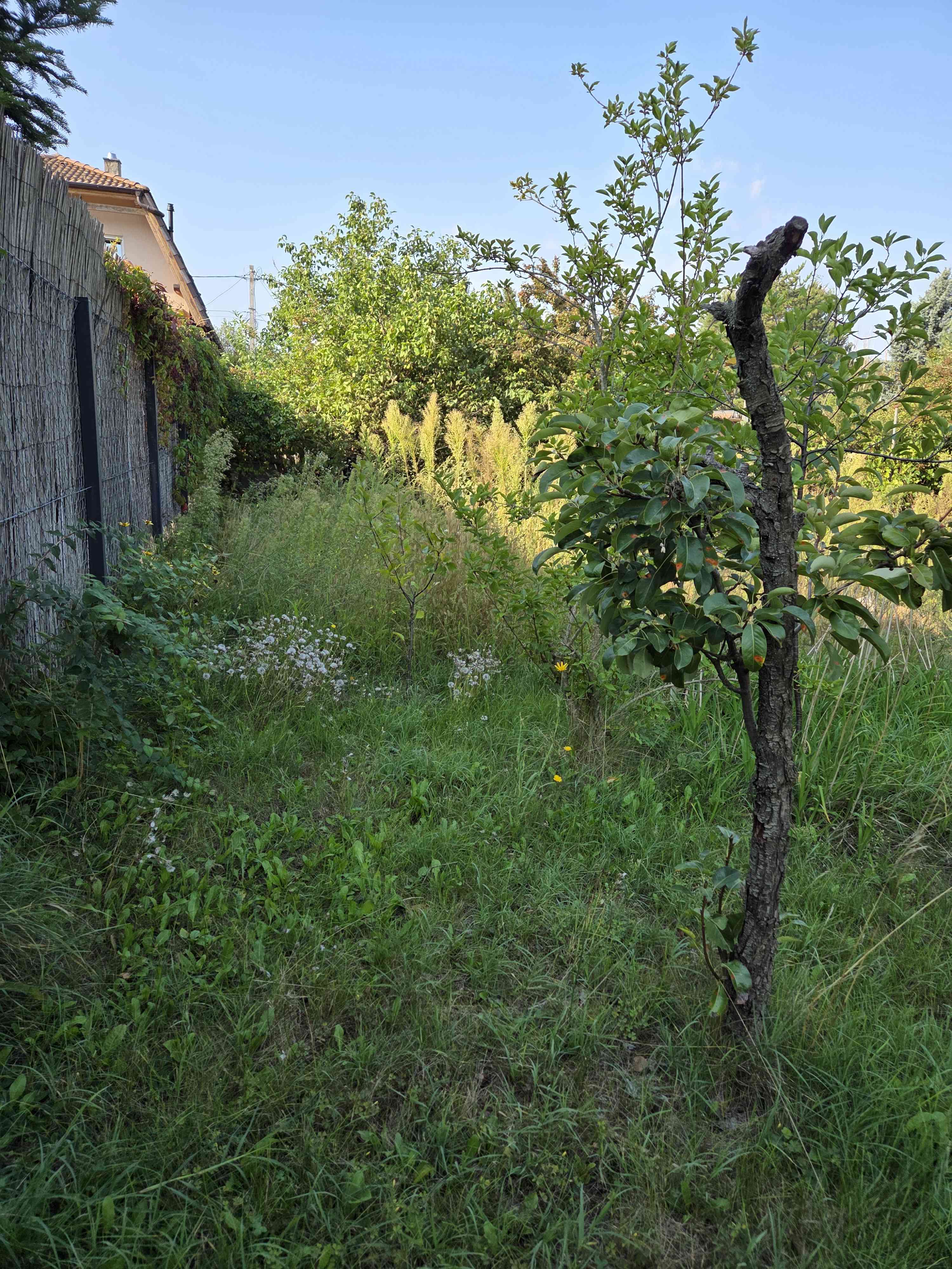 Veresegyház építési telek vagy nyaraló – 5. fotó