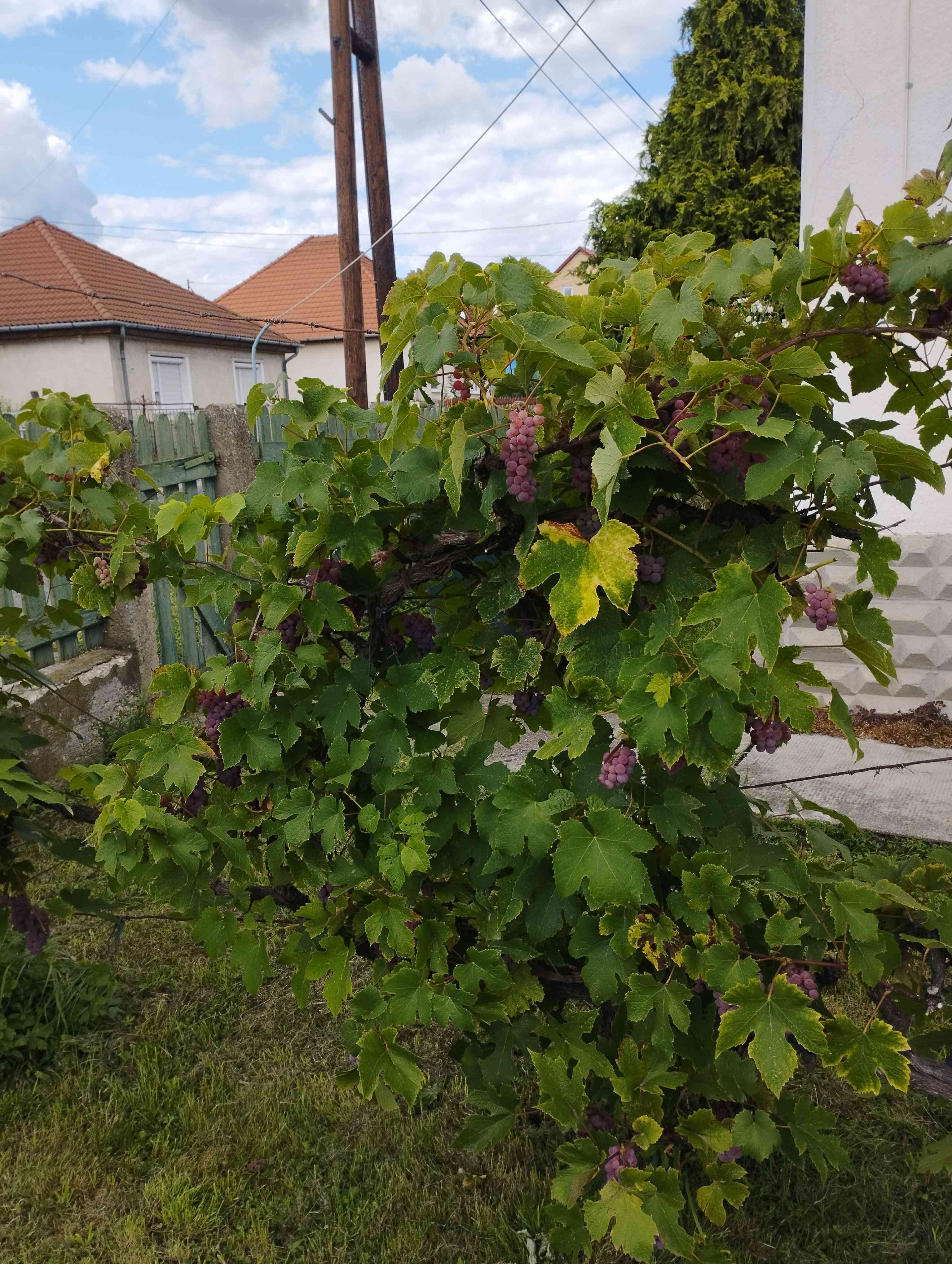 Családi ház - Nyékládháza. – 12. fotó