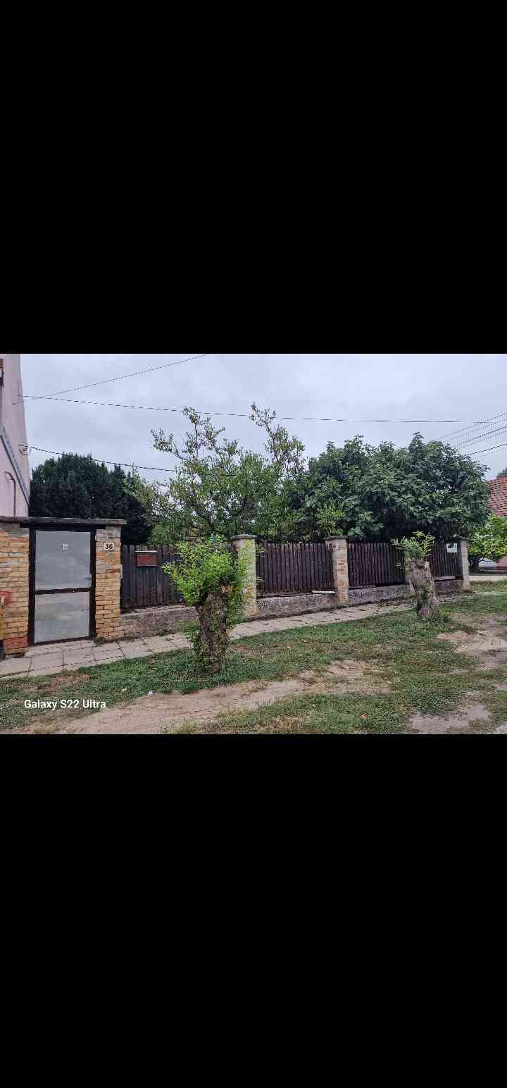 Szeged-Kiskundorozsma – 4. fotó