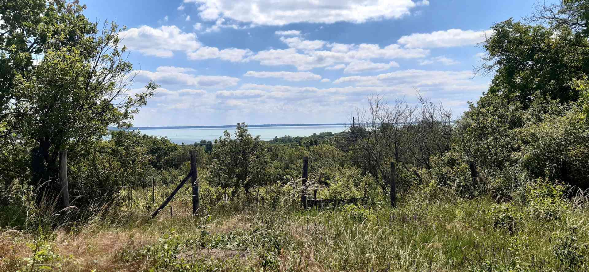 Örökpanorámás balatoni telek – 4. fotó