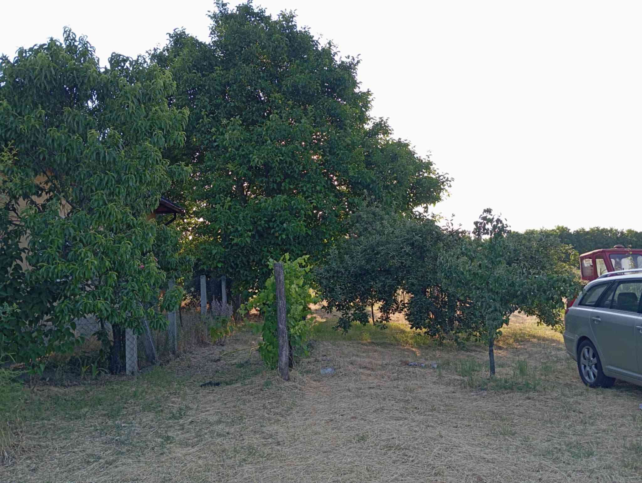 Felújított 2 generációs tanya 5 ha földdel, halastóval – 24. fotó
