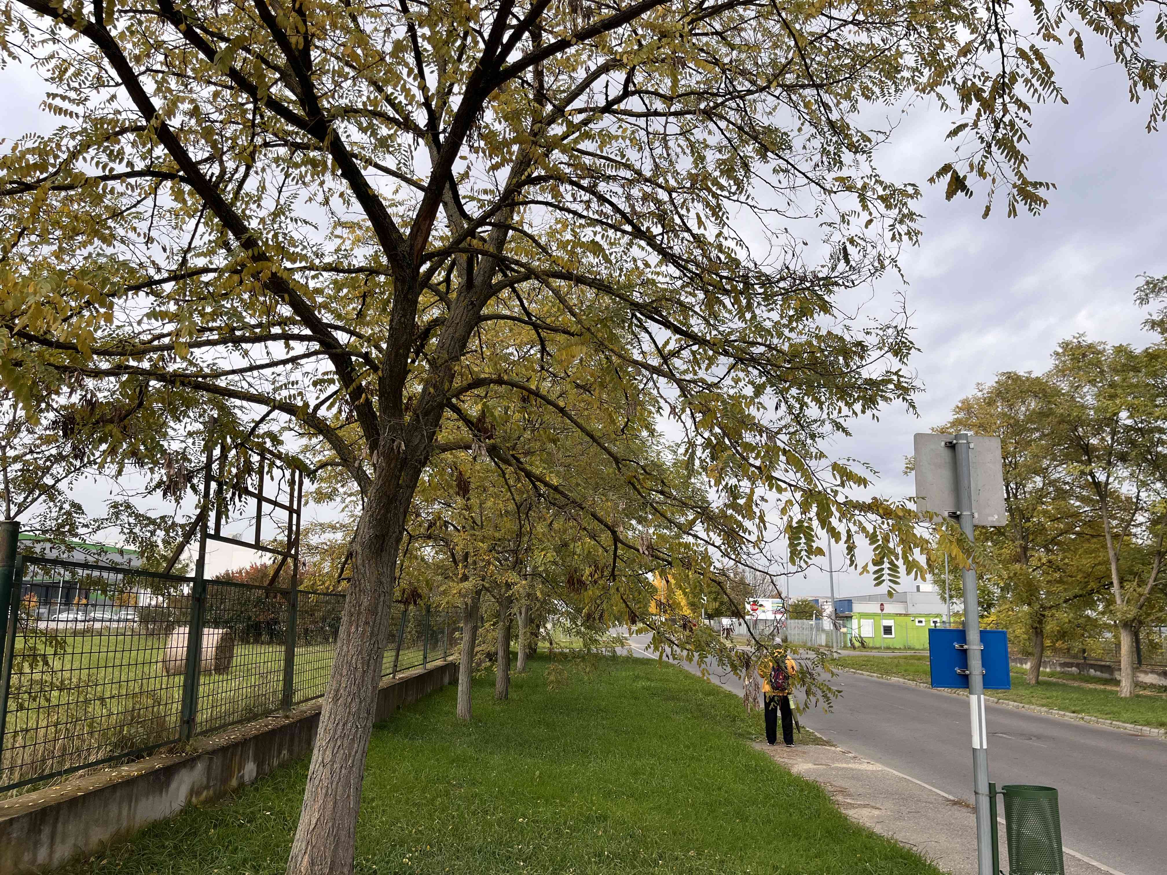 Miskolcon ipari terület eladó a Mechatronikai Ipari Park bejáratánál – 2. fotó