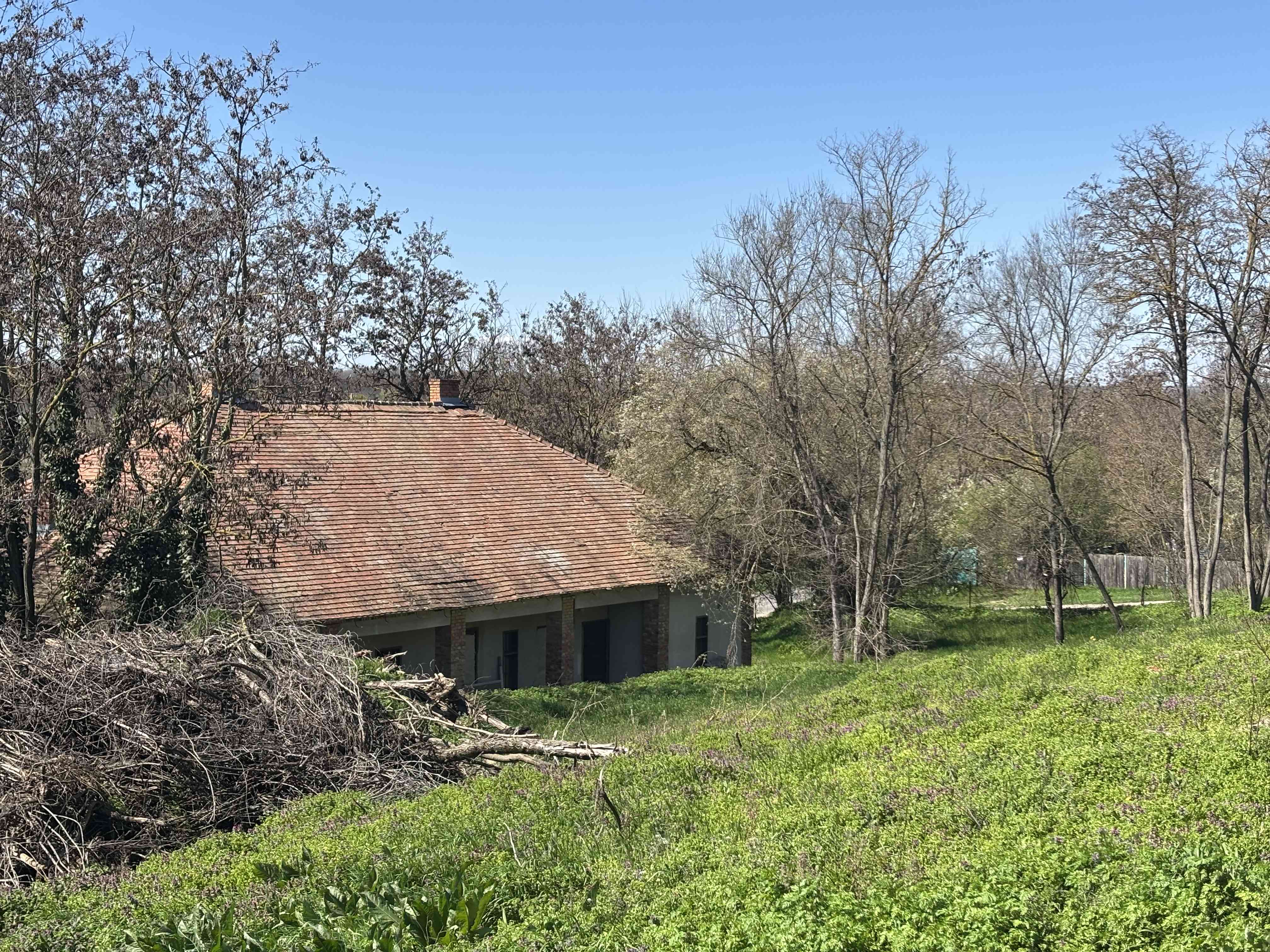Baracskai Kúria  – 5. fotó