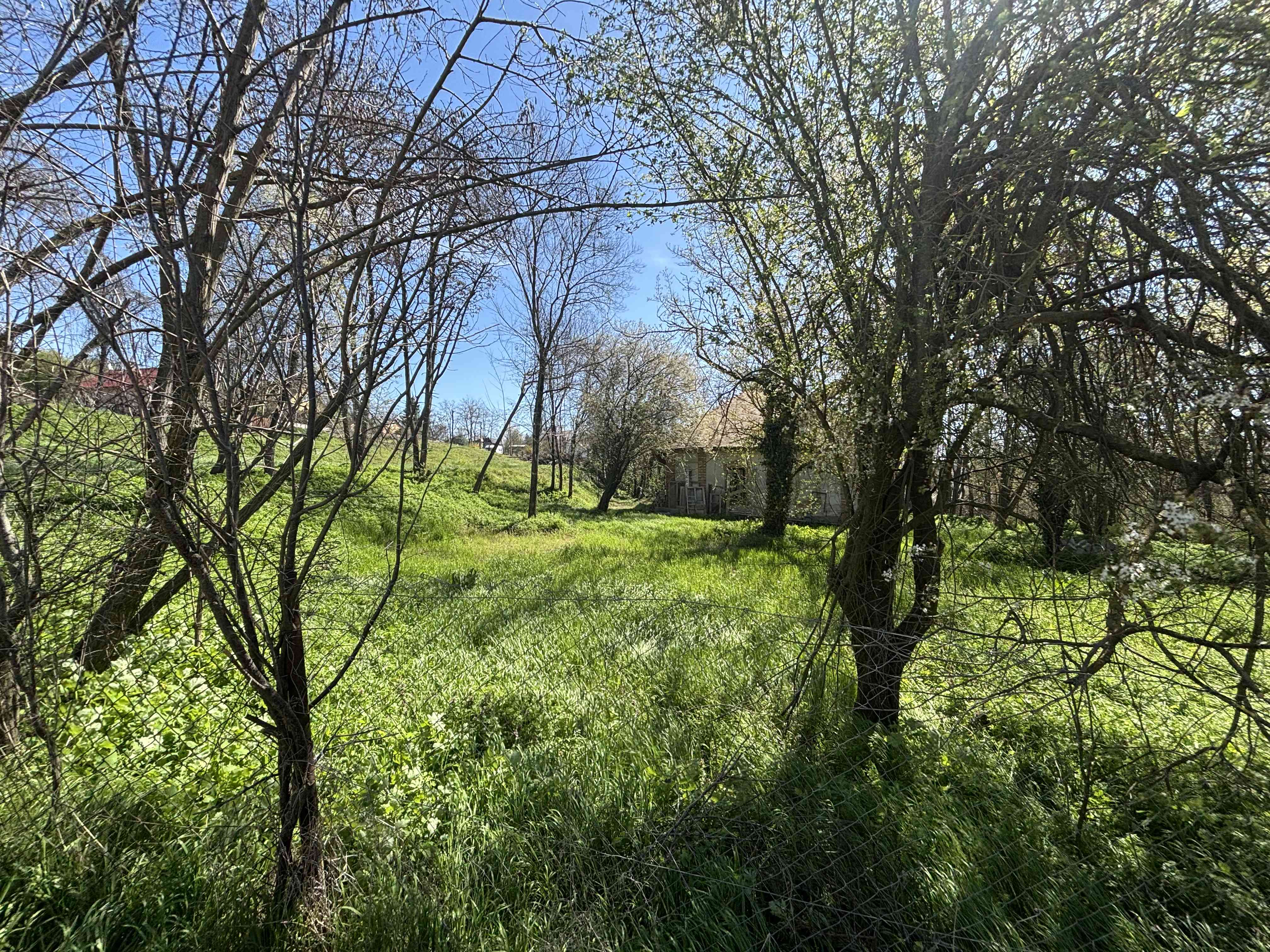Baracskai Kúria  – 12. fotó