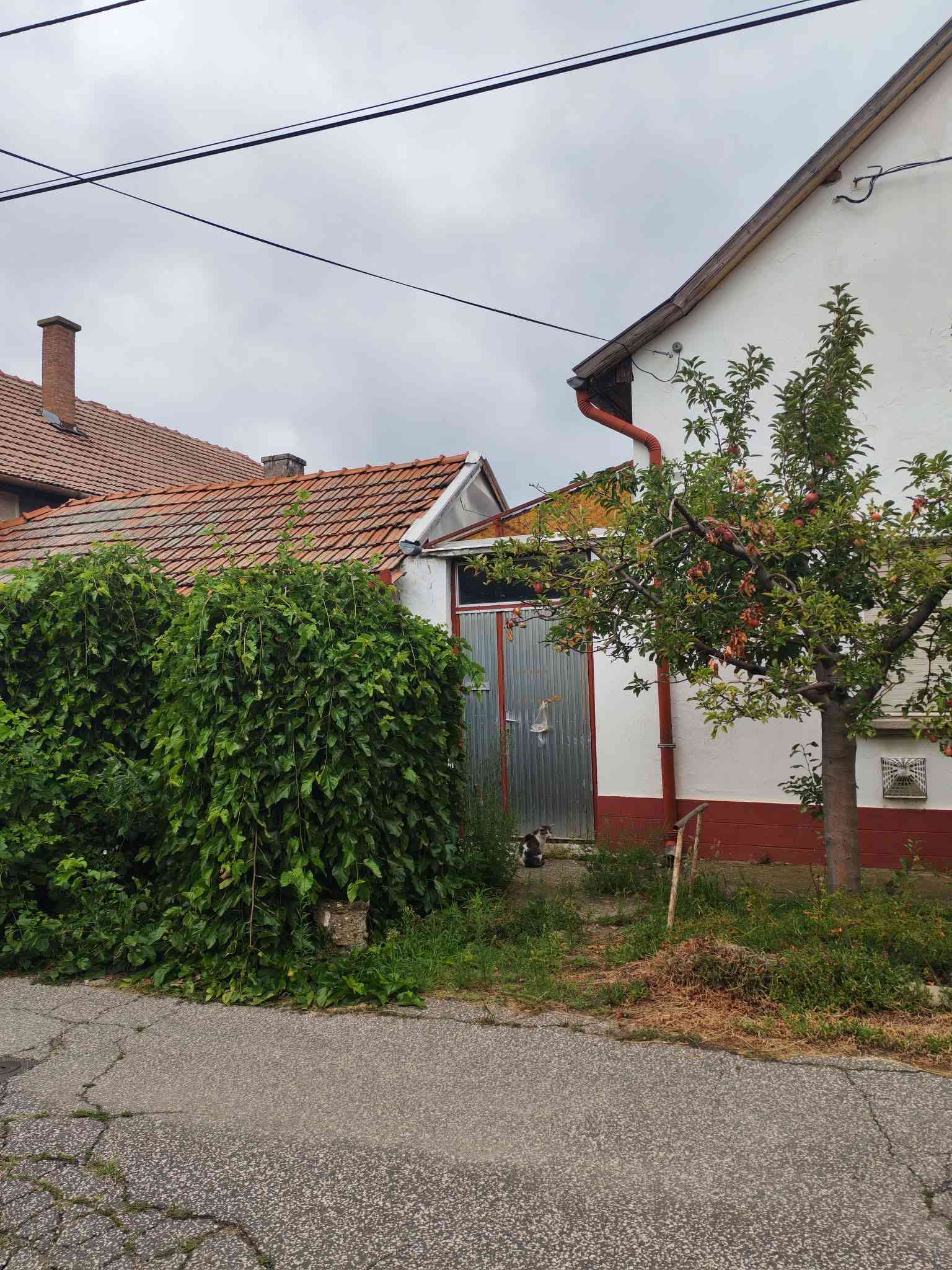 Kisteleki családi ház eladó  – 9. fotó