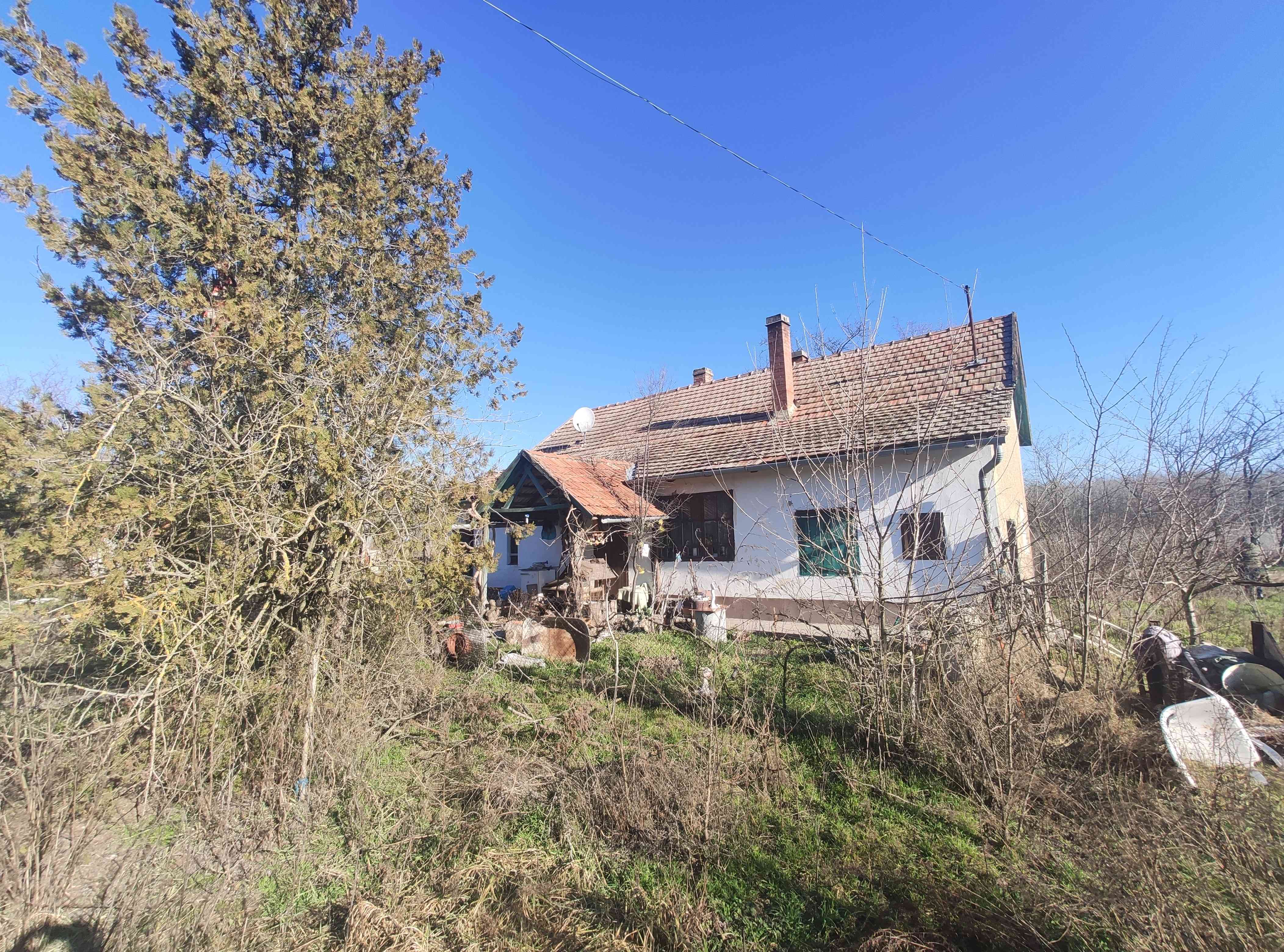 Eladó tanya Ópusztaszeren! – 2. fotó