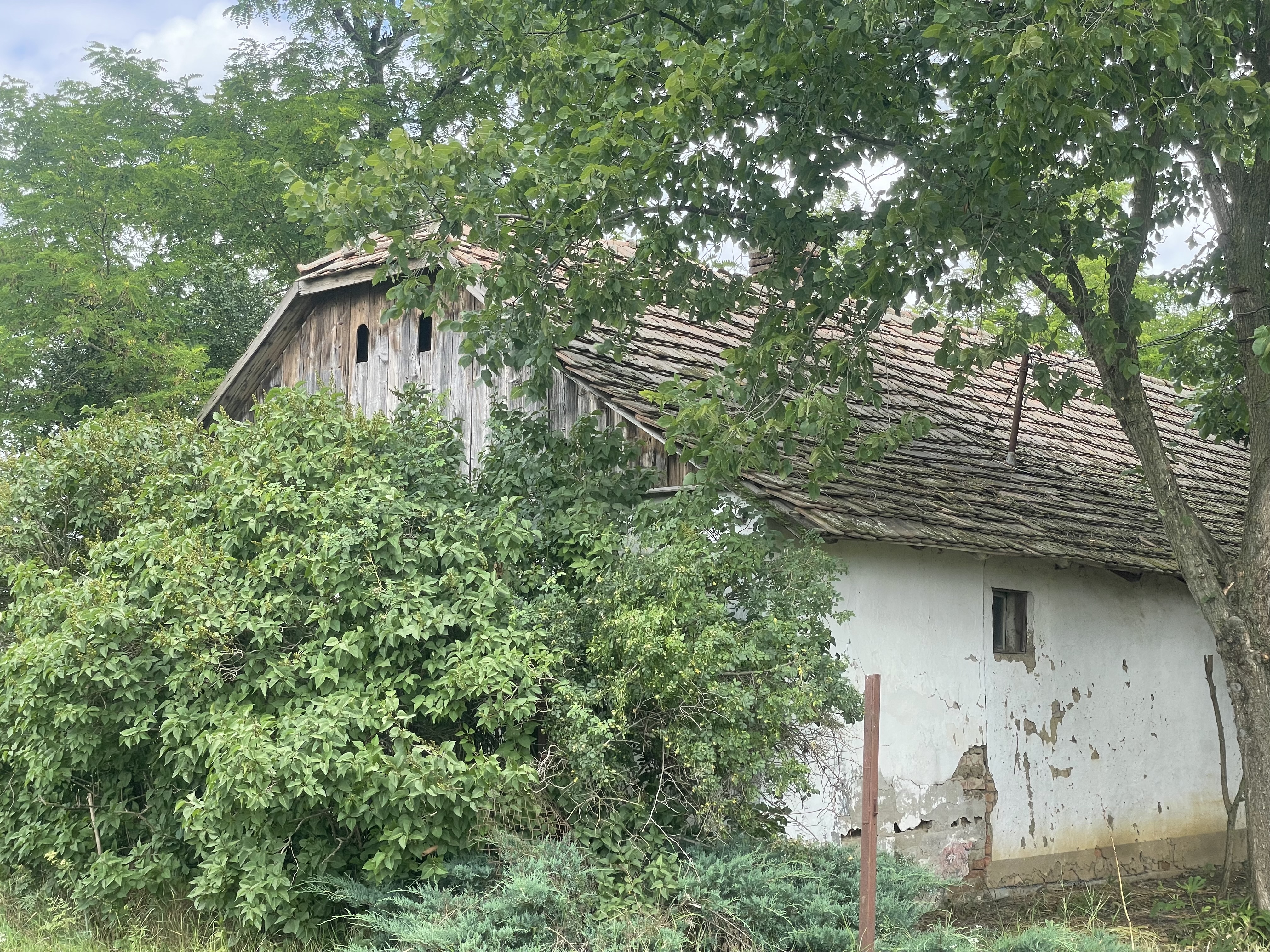 Olcso Tanya Gyula – 5. fotó