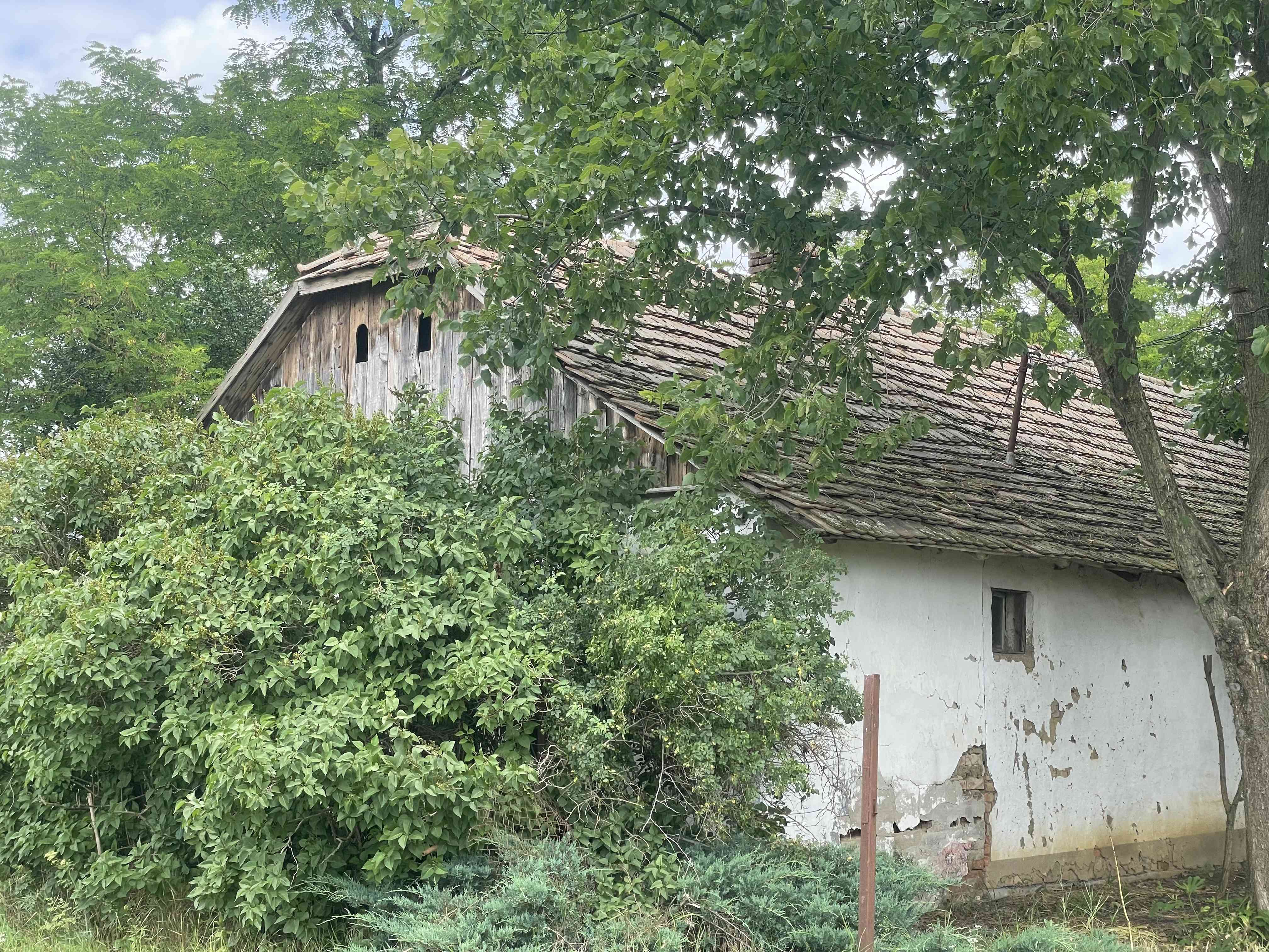 Olcso Tanya Gyula – 7. fotó
