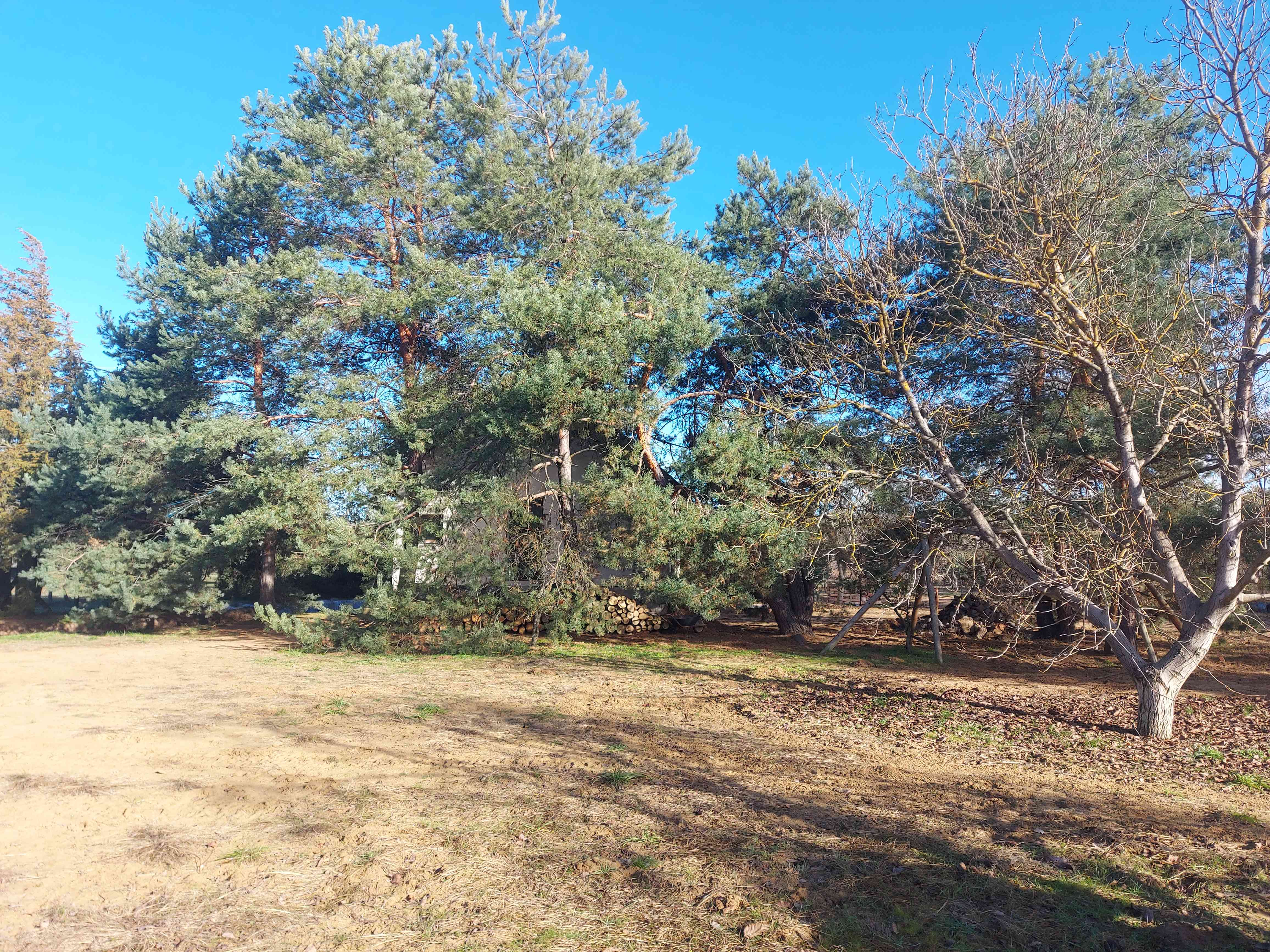 Panoràma uti park – 7. fotó