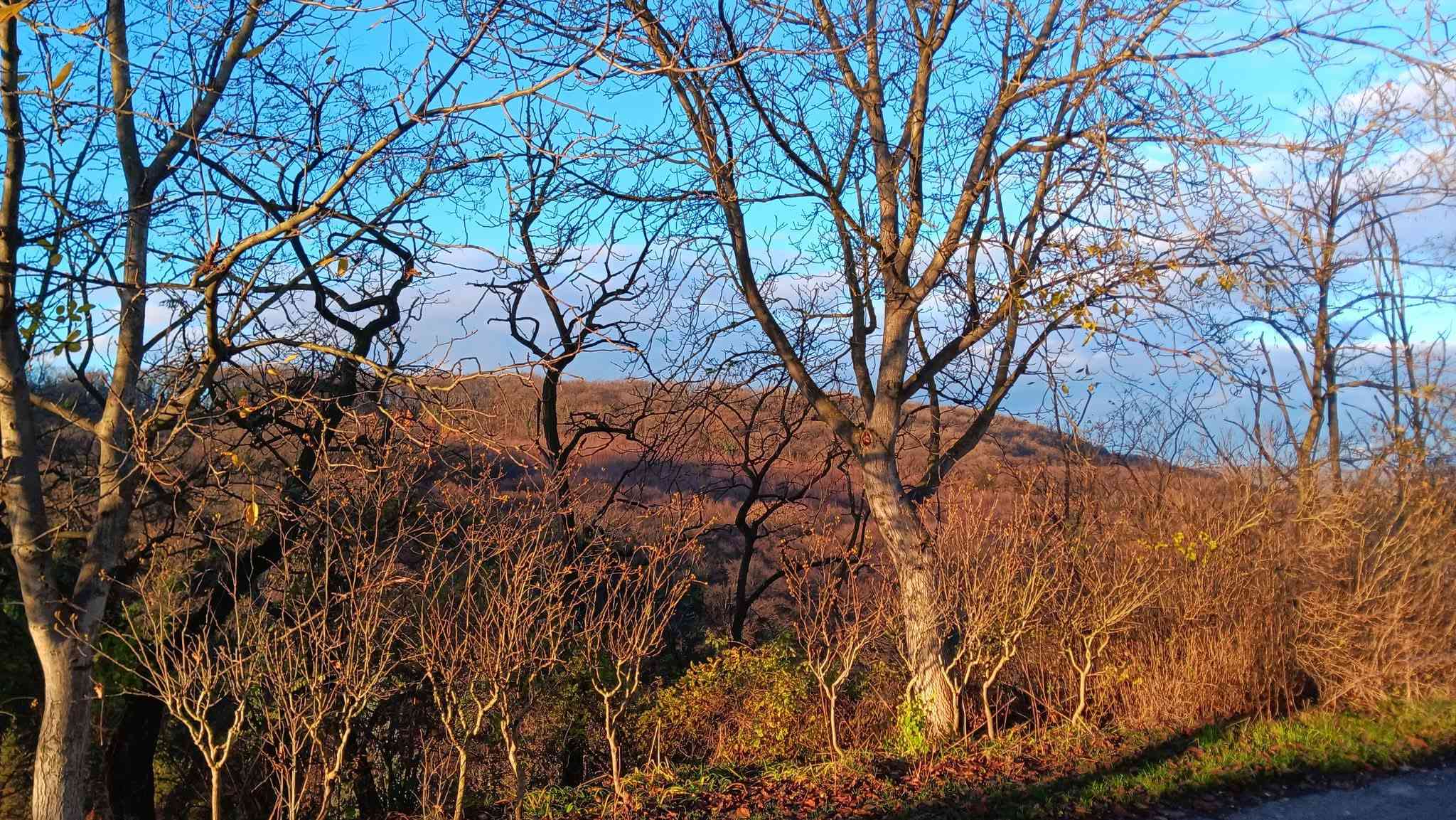 Örök panorámás családi ház Fertőrákoson nagy telekkel  – 6. fotó