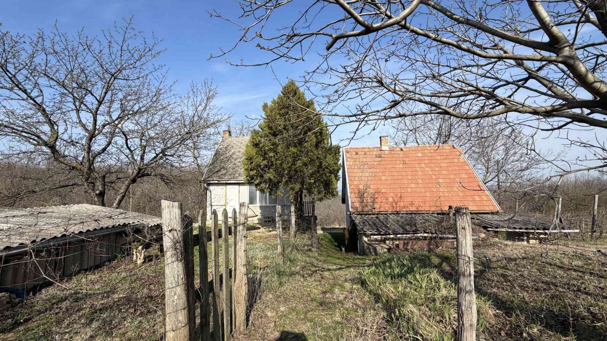 Szekszárd 2 tanya egyben – 4. fotó